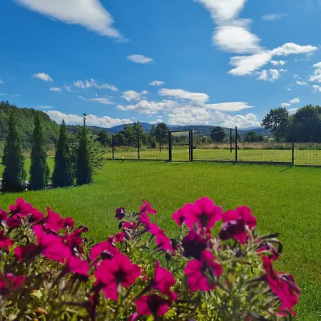 Sloneczne Sudety - Caloroczne Kotlina Klodzka Hébergement de vacances Stary Waliszow